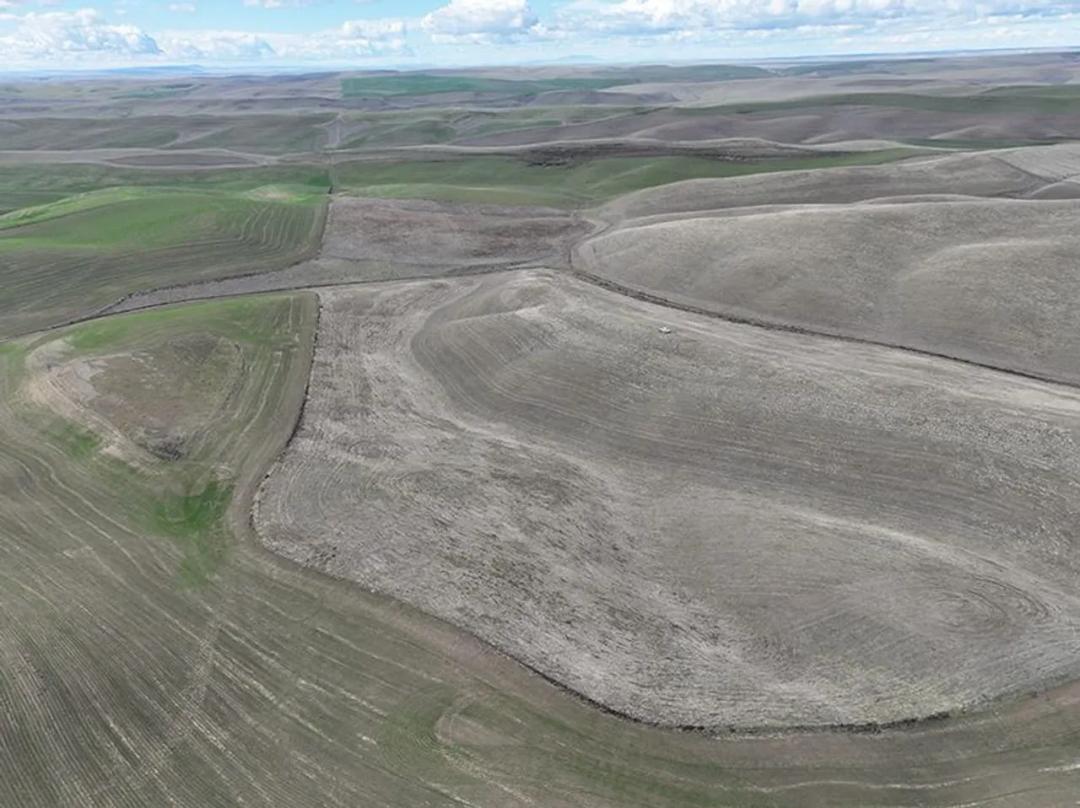 Listing #19201 - 160.00 acres in Walla Walla County, WA