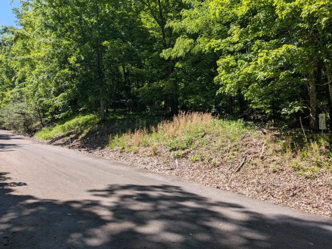 1.81 Acres at 306 Hickory Knull Cir