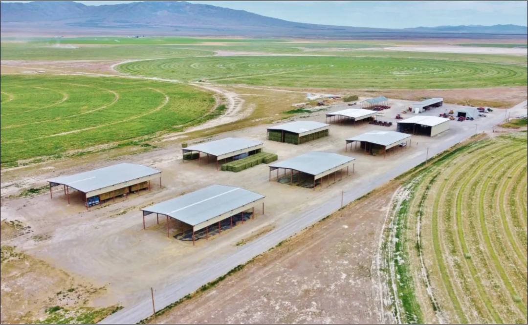 Cedar Mountain Farm