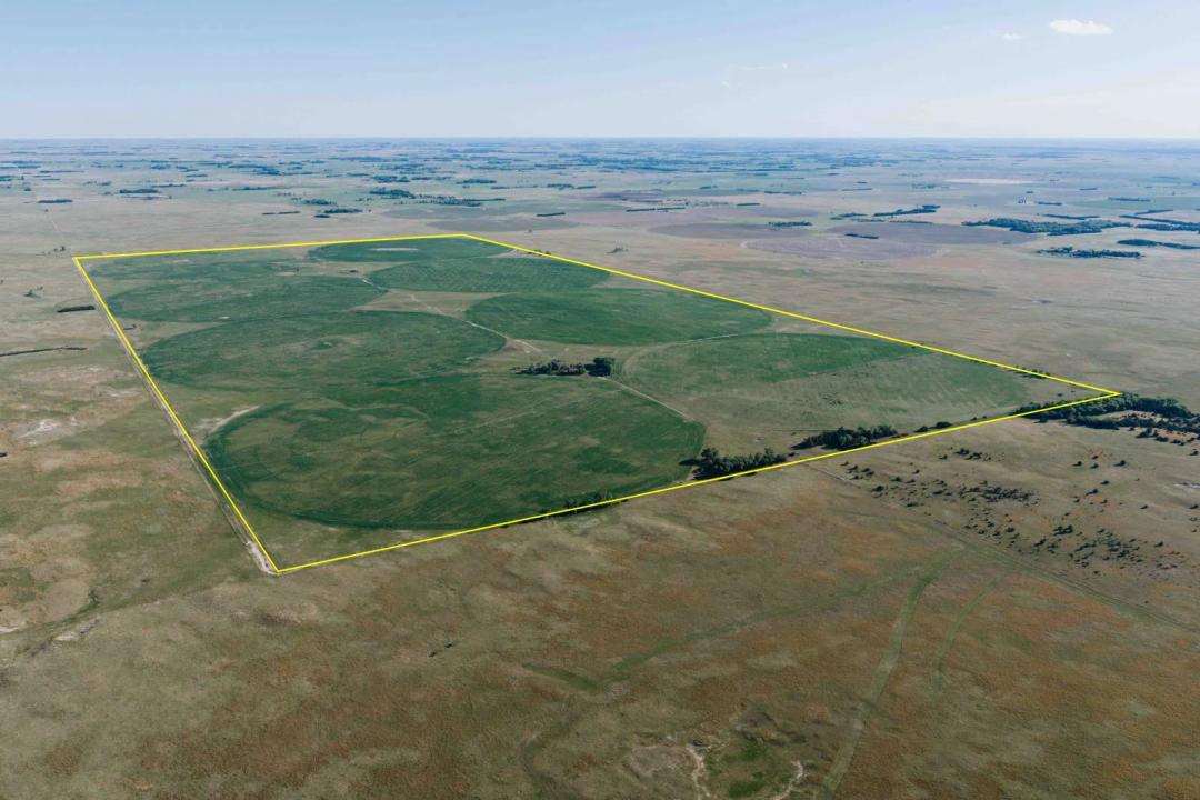Rock County Irrigated Grazing Ranch