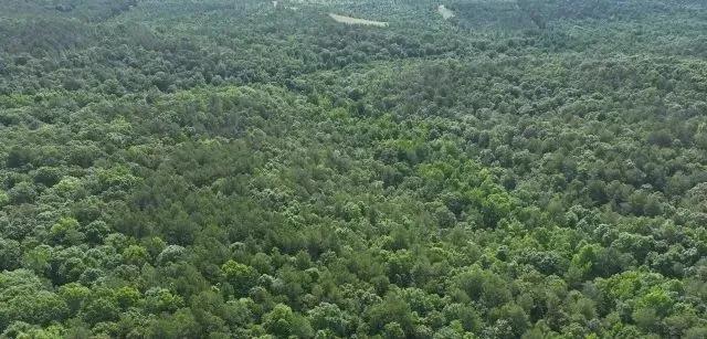 Crossville Community 160 +/- Acre Tract