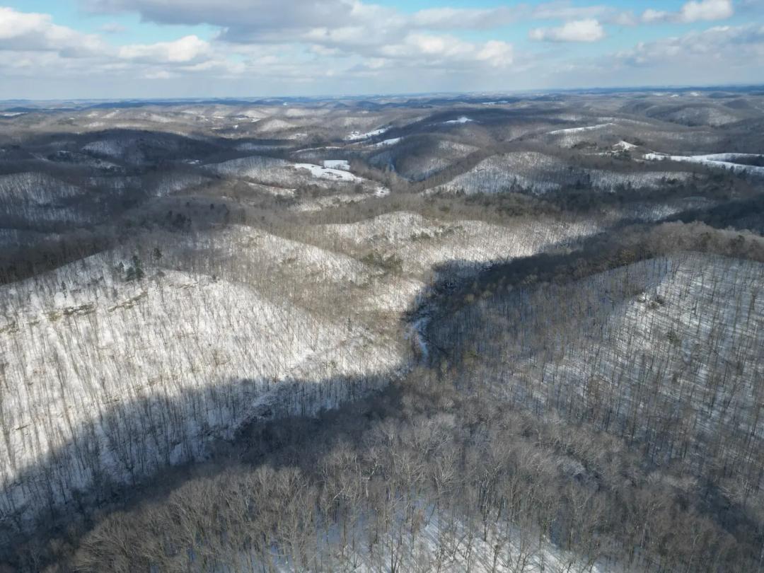42.75 Acres at 0 White Oak Rd
