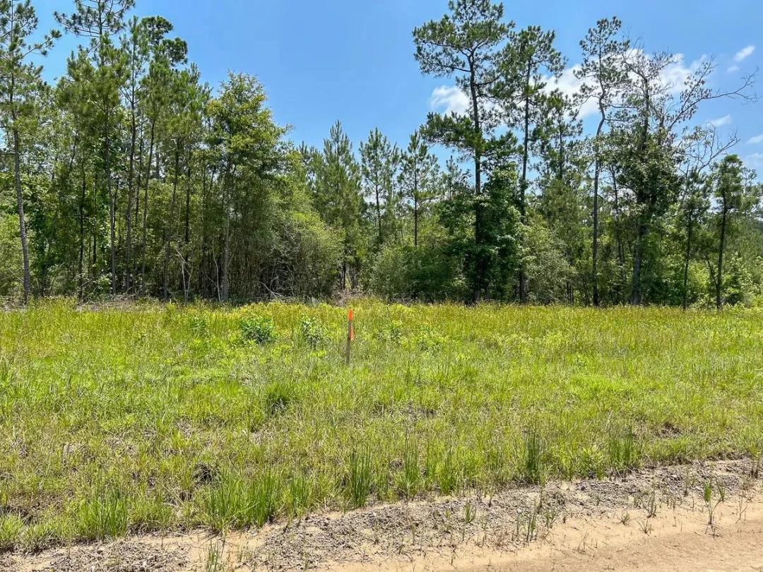 30 Acres | Grimes Cemetery Road