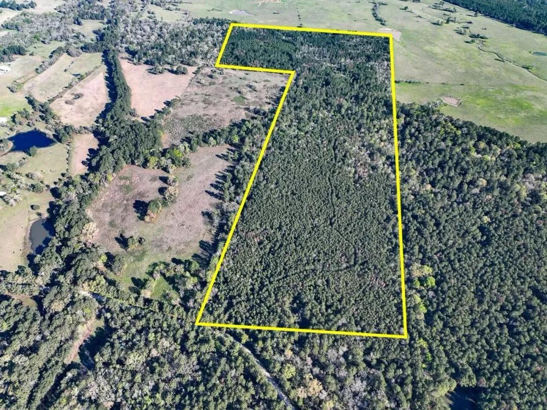 111 Acres | Bishop Road