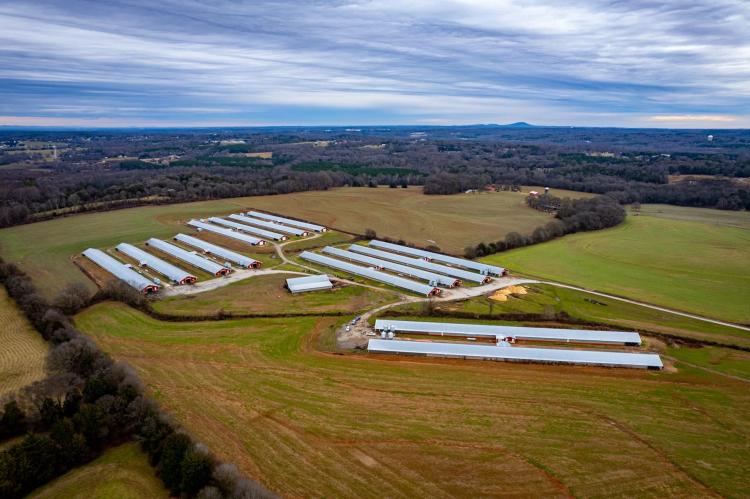 Poultry Farm with 14 Broiler Houses For Sale - Lincolnton NC