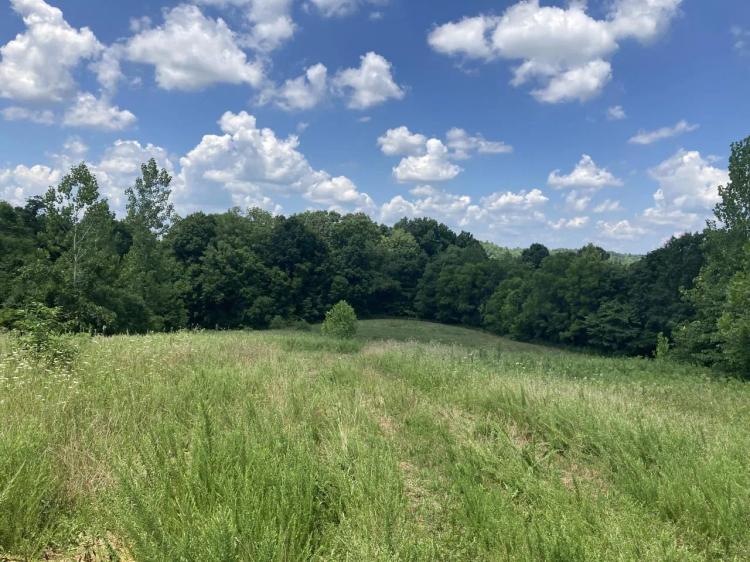 Land for Sale Kentucky 115 acres
