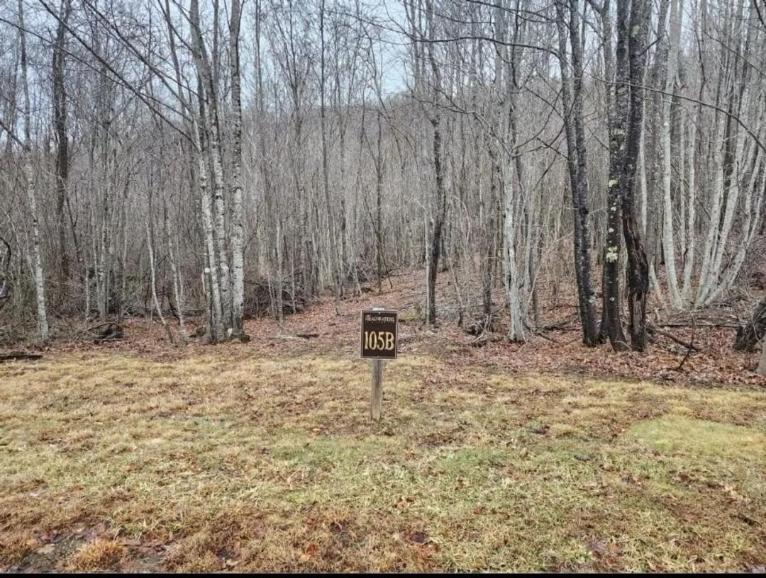 Premier Blue Ridge Mountain Homesite