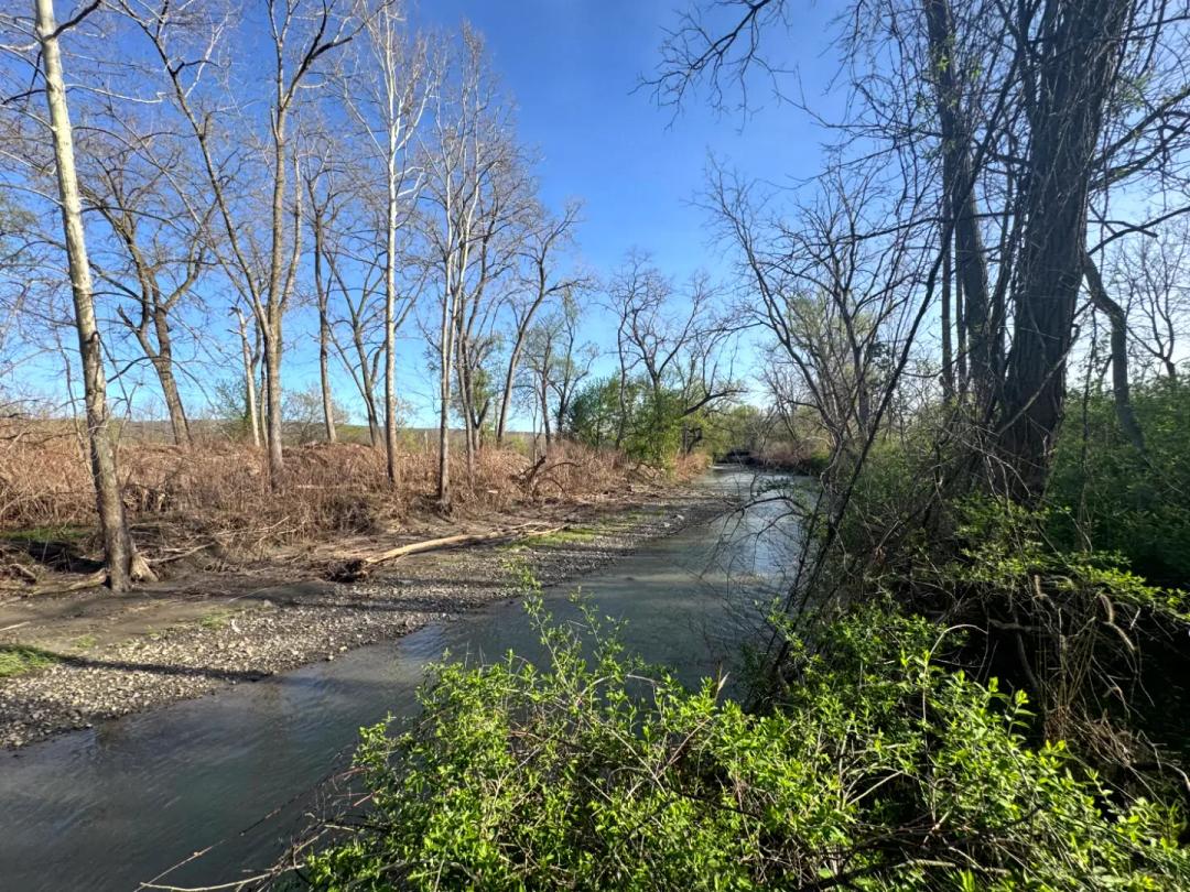 Meadows & Woods Along Keshequa Creek