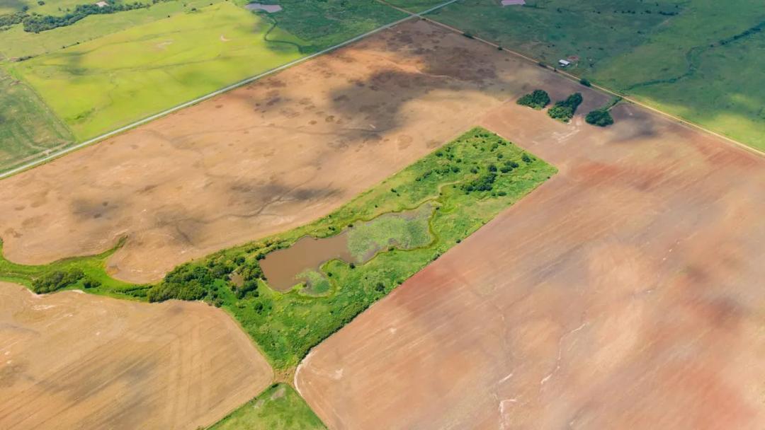 120.00 Acres at 0 Grant Road