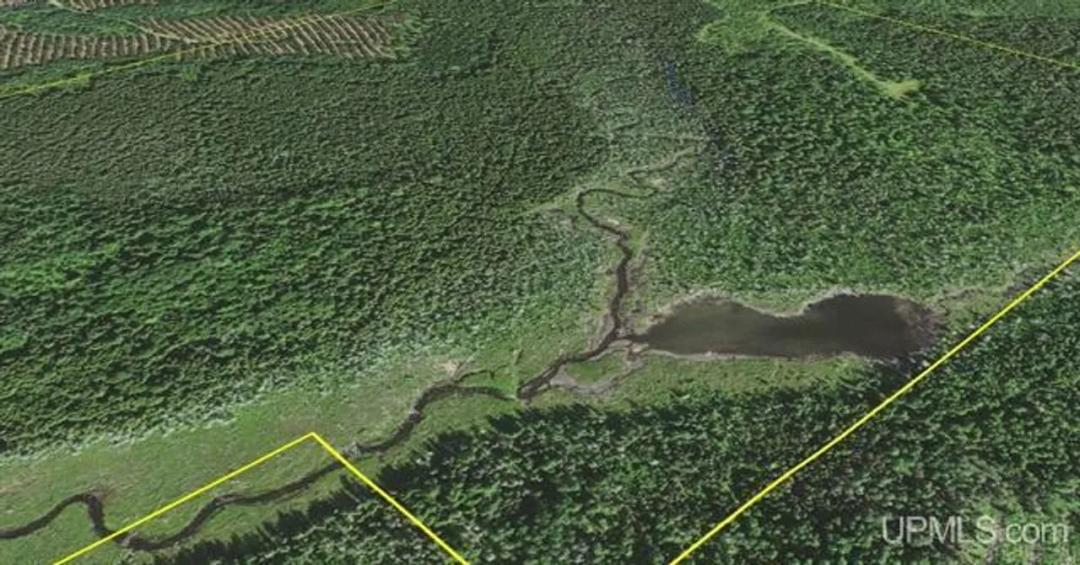 500 Acres w/Stream 50101446