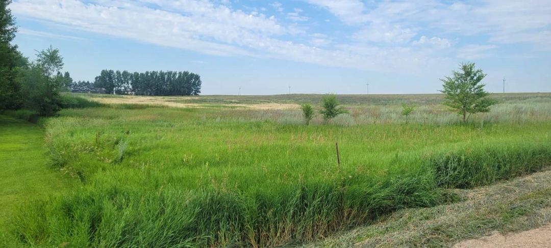 13 Acre Parcel of Land For Sale