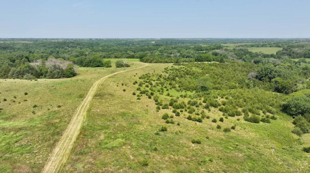 Wayne County, Iowa 68 Acres For Sale