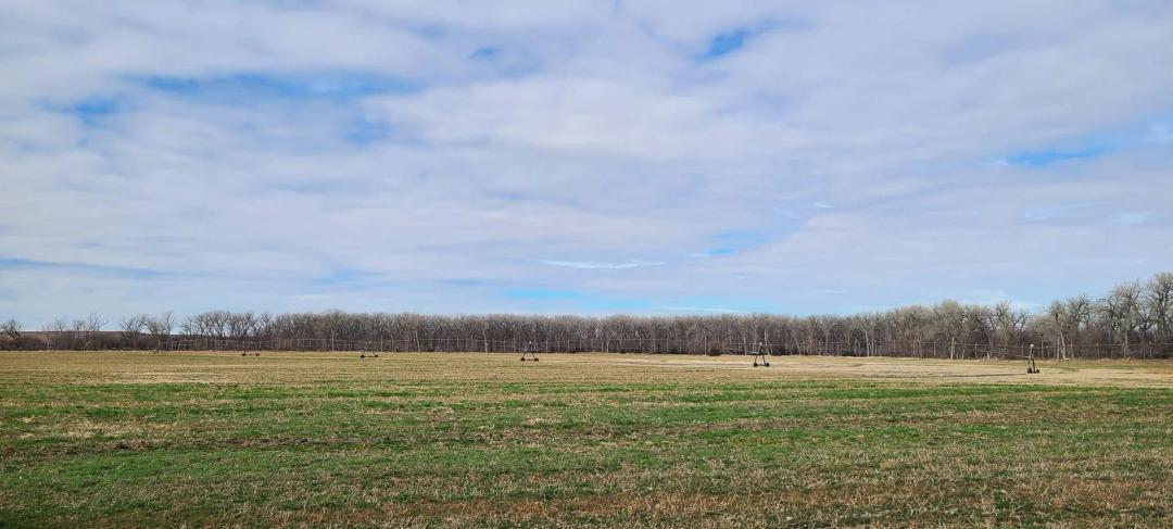 122 Acres, Harlan County Republican River Pivot