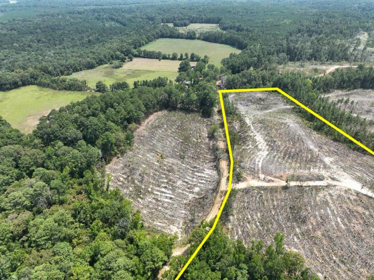 10 Acres | County Road 2108 | T-3