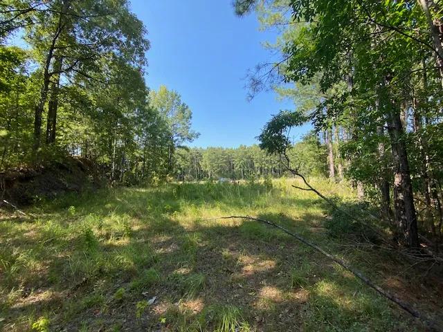 1 acre near National Forest