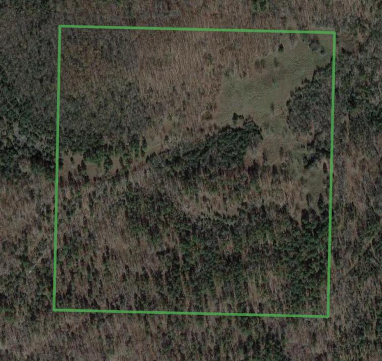 60+/- Acres, Hunting Land, Cave City, Arkansas