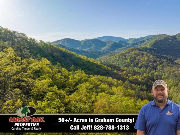 50+/- Acres Bordering U.S. Forest Service in Graham County!!
