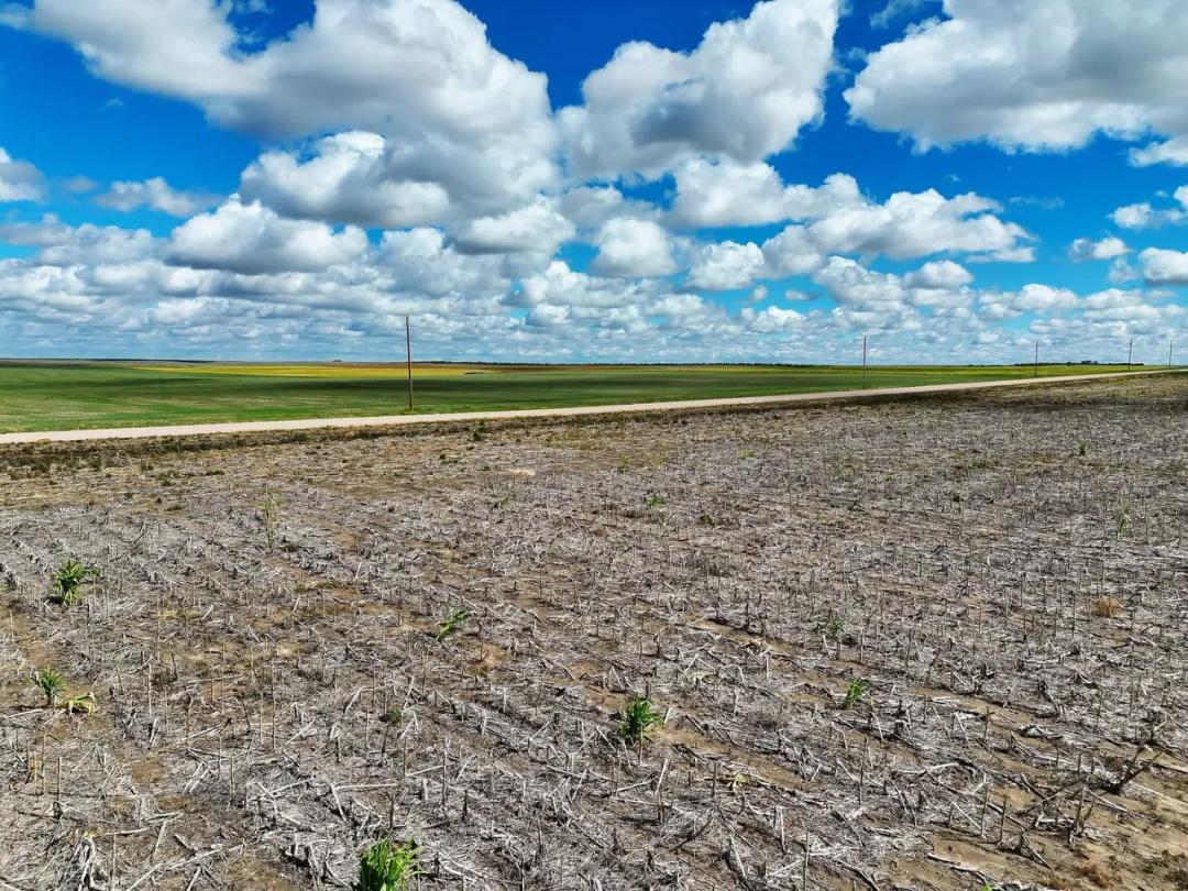 Mostly Tillable Cropland Parcel with Grassland CRP near Sidney, NE