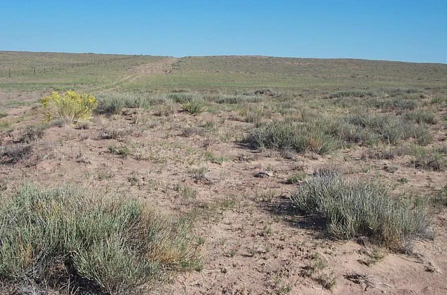 Arizona Desert * Petrified Forest & Painted Desert area