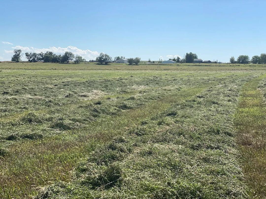 6419 Olive Branch Way Lot 6B
