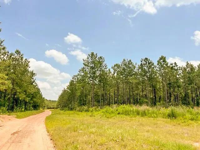 29 Acres | CR 1425 | T-13