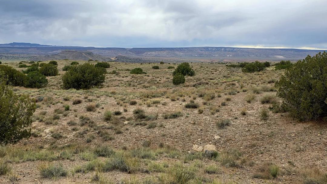 Rare 5 acres bordering Isleta Indian Reservation - Undeveloped Area