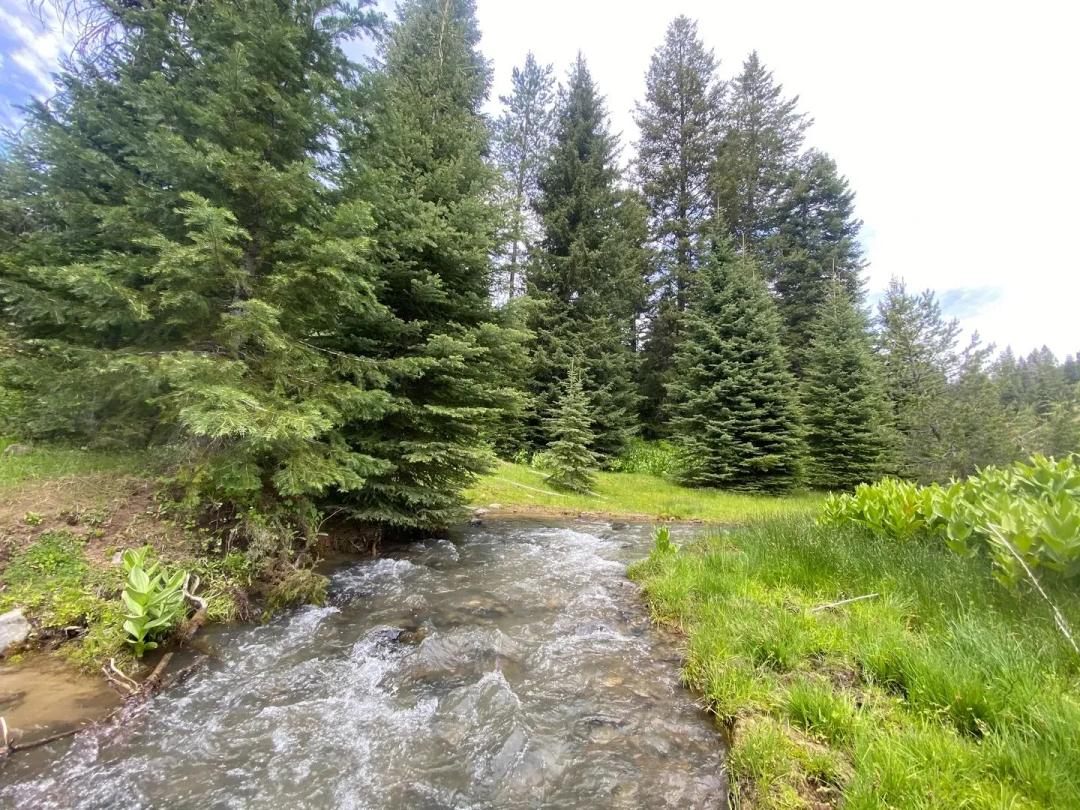 East Goose Creek Getaway