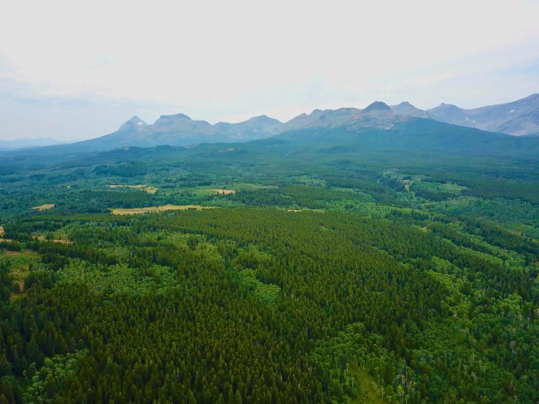 Glacier Park Views