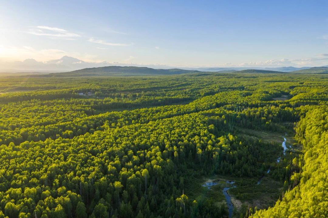 Unit 11 Baldy Lake Airpark