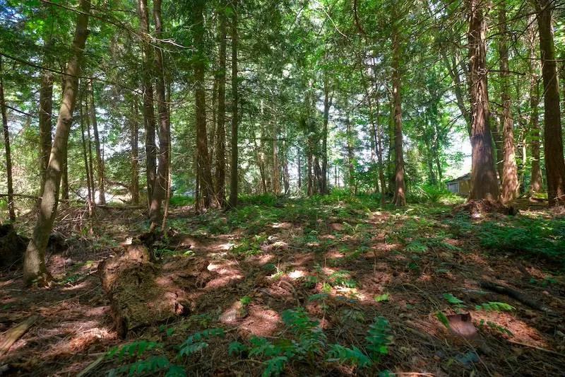 0.50 Acres at 2222 Ross Road