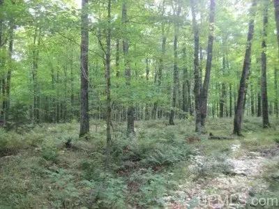 Amasa 160 Recreational Acres 1123525