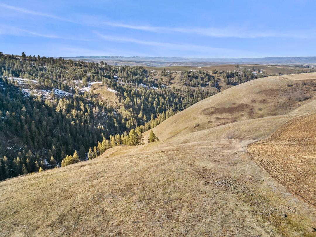 Cottonwood Creek Recreation