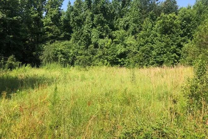 135.17 Acres in Holmes County in Goodman, MS 