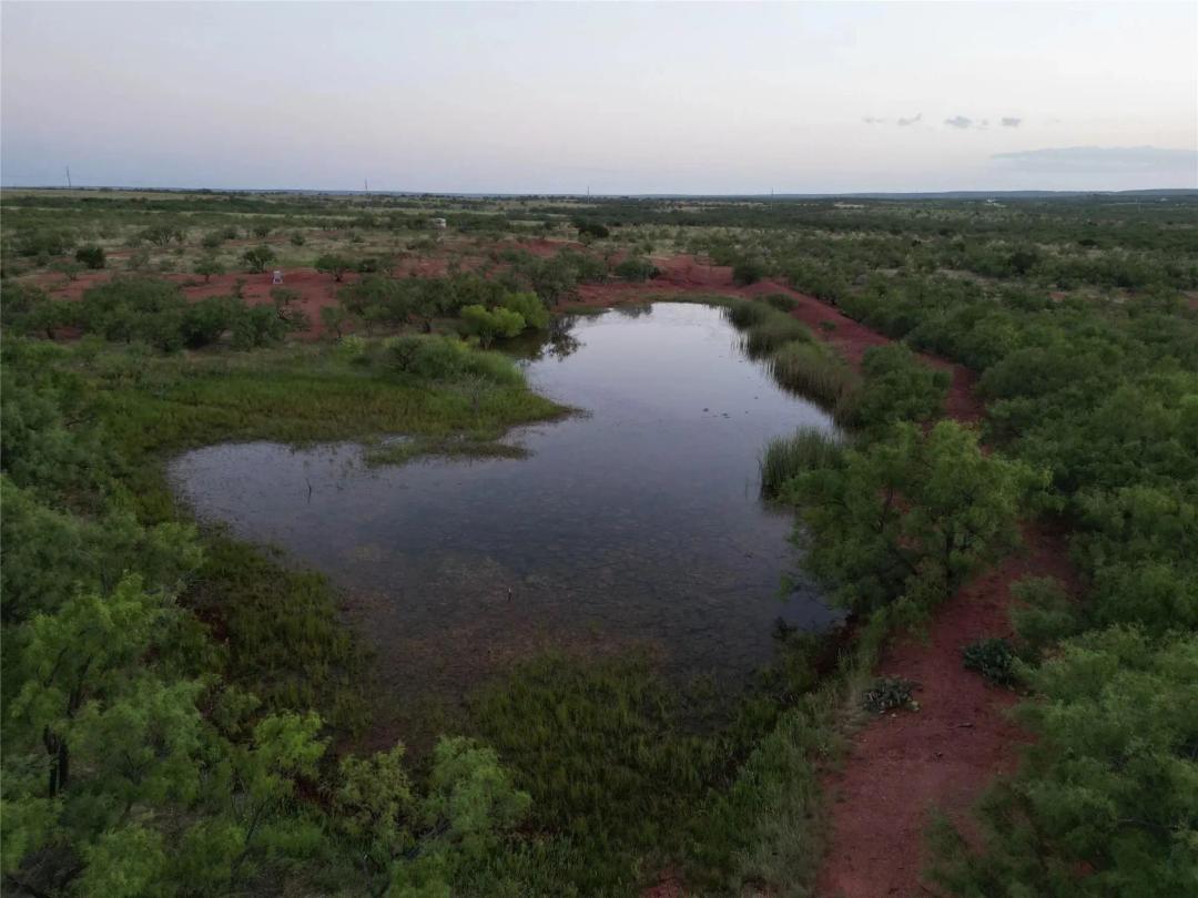 AVAILABLE!! 202+/-Ac, TBD CR 177, Taylor County
