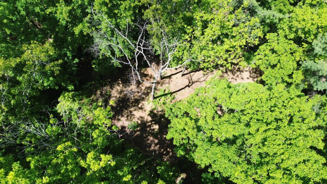4.04 Acres at 99999 Pink Fox Cove Road