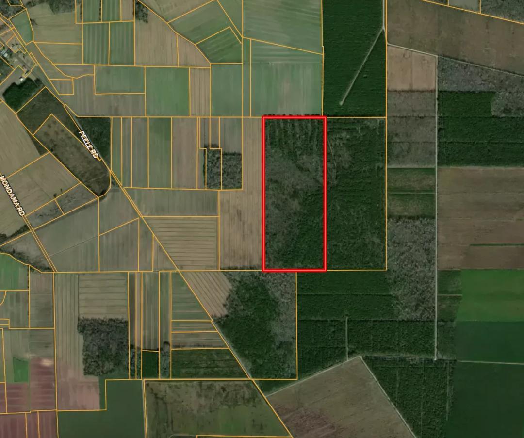 146-Acre Prime Hunting & Timber Land for Sale in Beaufort County, NC
