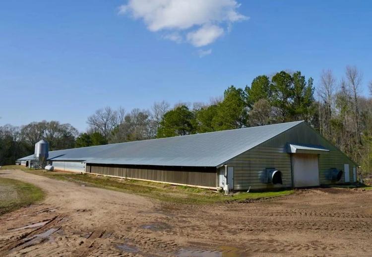 Poultry Broiler Farm 73 Acres Mize Mississippi