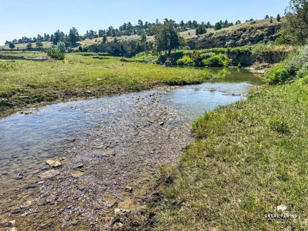 Jessie Road Ranch