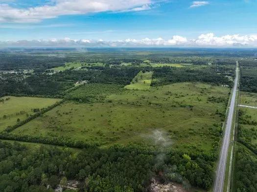 0.165 Acre Lot in Deep River, Trinity TX – Forest Setting with Road Access