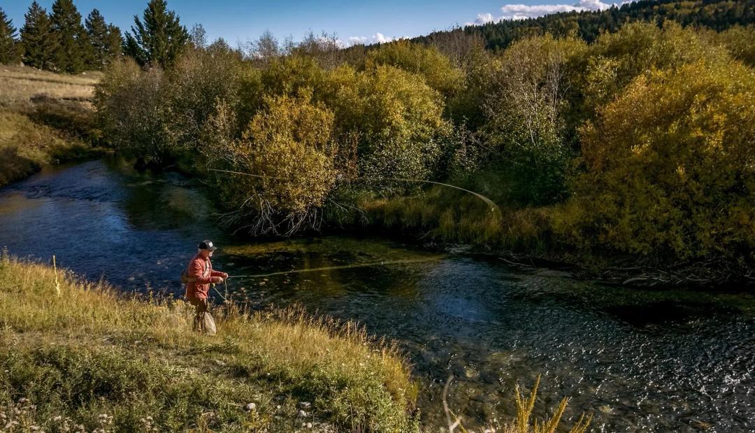 Dempsey Lakes Cattle Ranch