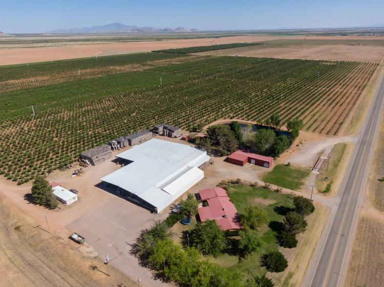 AZ Organic Apple Orchard - Ag Investment Property For Sale