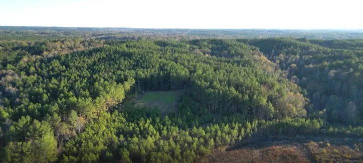 187 Acres in Holmes County in Lexington, MS 
