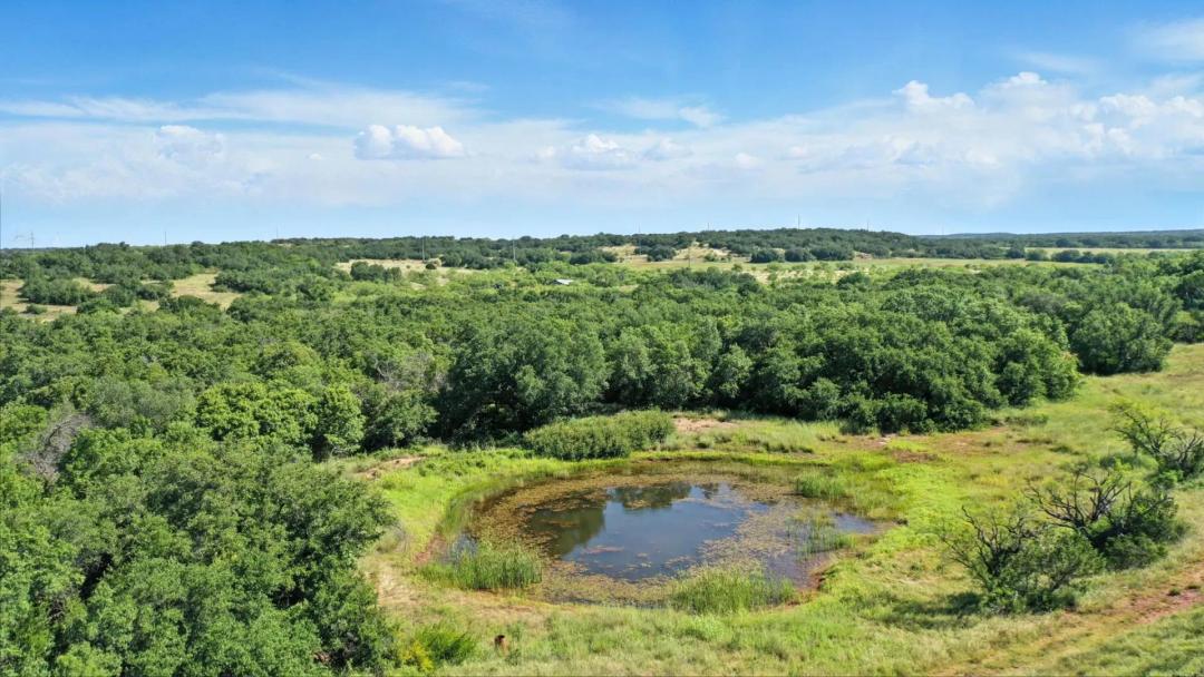 112.46 Acres FM 2945 Cisco, TX