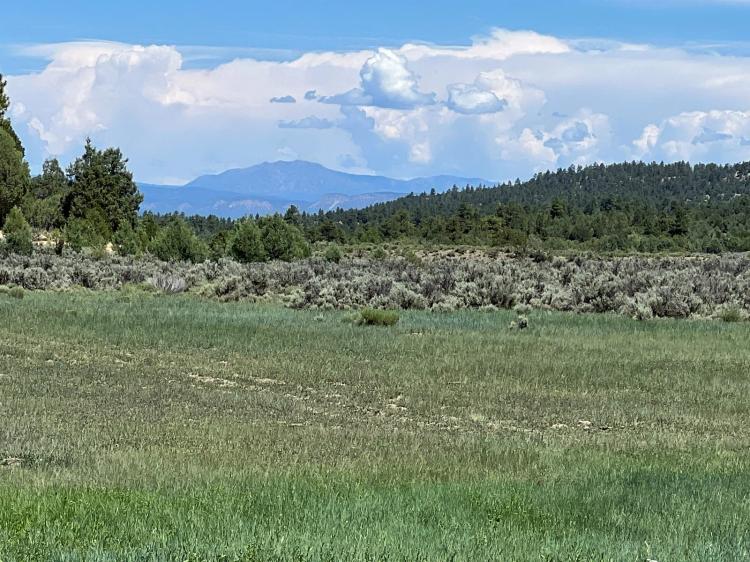 Incredible Elk Hunting Ranch in Chama Valley