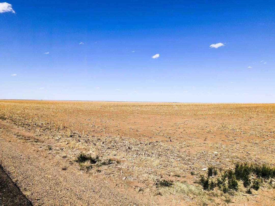 480 acres Morton County Cropland