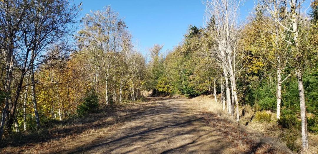 Enumclaw 49.95-acre Investment/Development Property