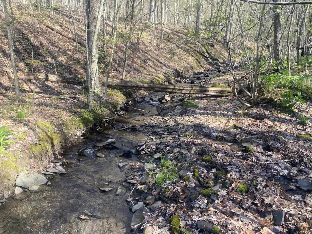 Off Grid Cabin with Stream on 21 acres in Friendship NY 5492 Pigtail Rd