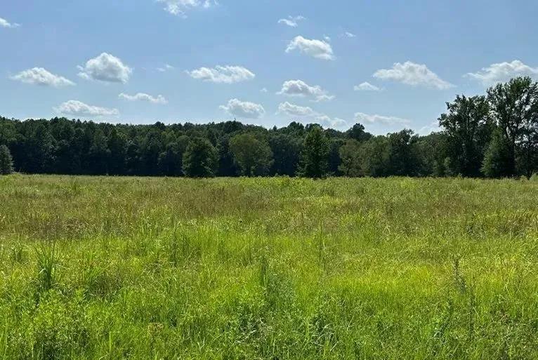 40 Acres in Lauderdale County in Meridian, MS