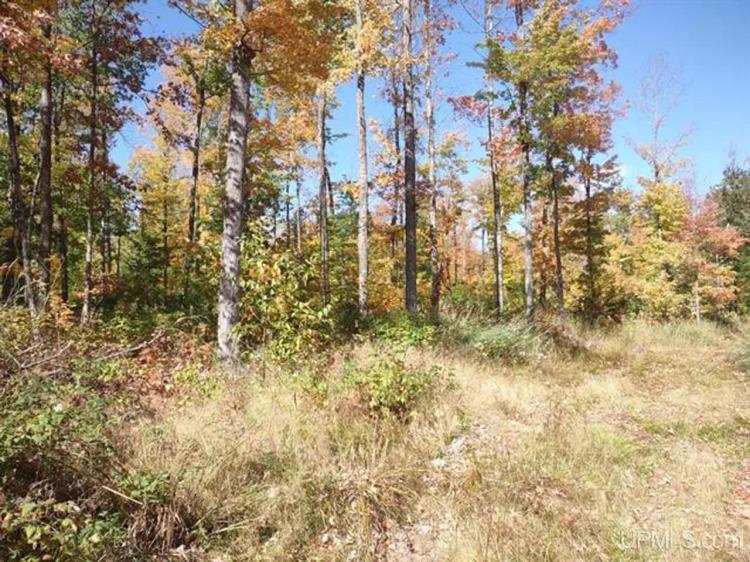 Michigan Wooded 40+/- Acres 50123565