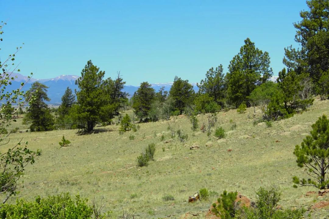 Hidden Meadows Ranch